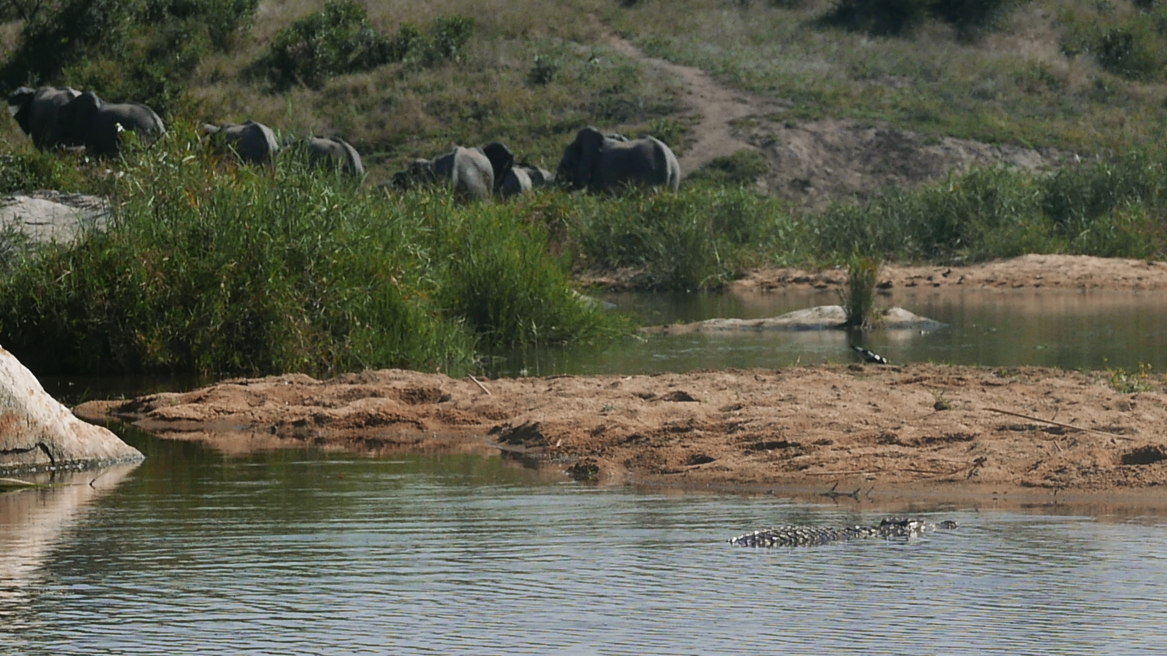 Kruger National Park visual data 7
